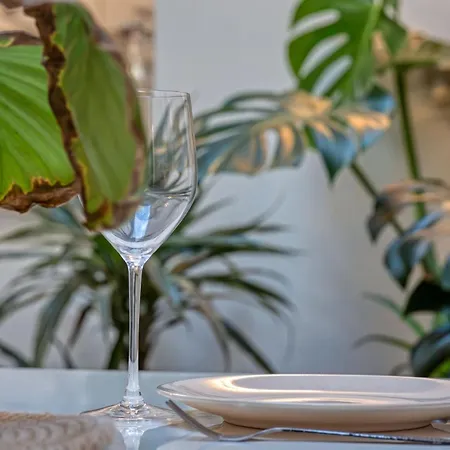 Apartment Rod Attractive F2 With Patio On Place Saint Marc In